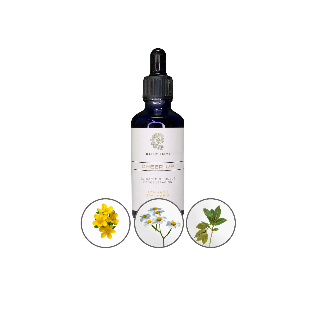 producto alt